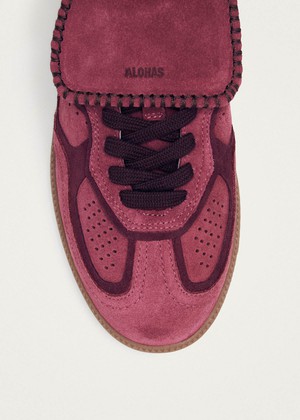 Tb.490 Club Suede Raspberry Leather Sneakers from Alohas