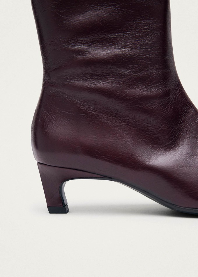 Ambar Rift Burgundy Leather Ankle Boots from Alohas