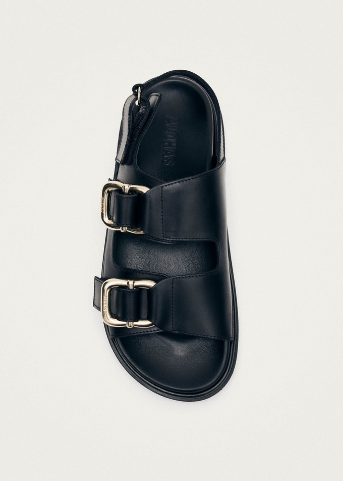 Harper Black Sandal from Alohas