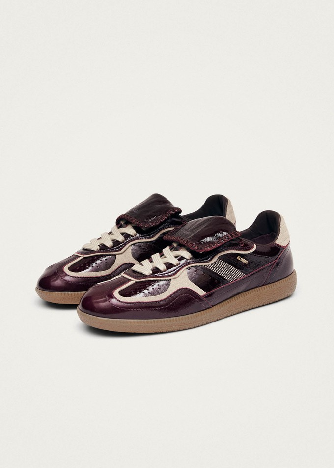 Tb.490 Club Onix Deep Burgundy Leather Sneakers from Alohas