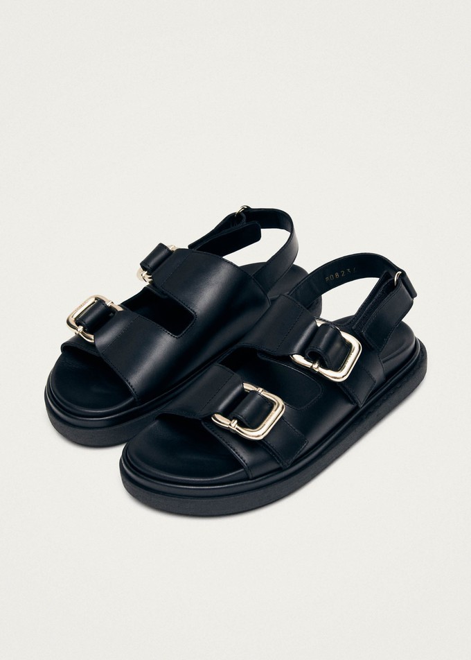 Harper Black Sandal from Alohas