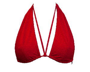 Geranium / Versatile Bikini Top from Anekdot