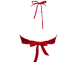 Geranium / Versatile Bikini Top from Anekdot