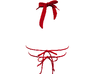 Geranium / Versatile Bikini Top from Anekdot