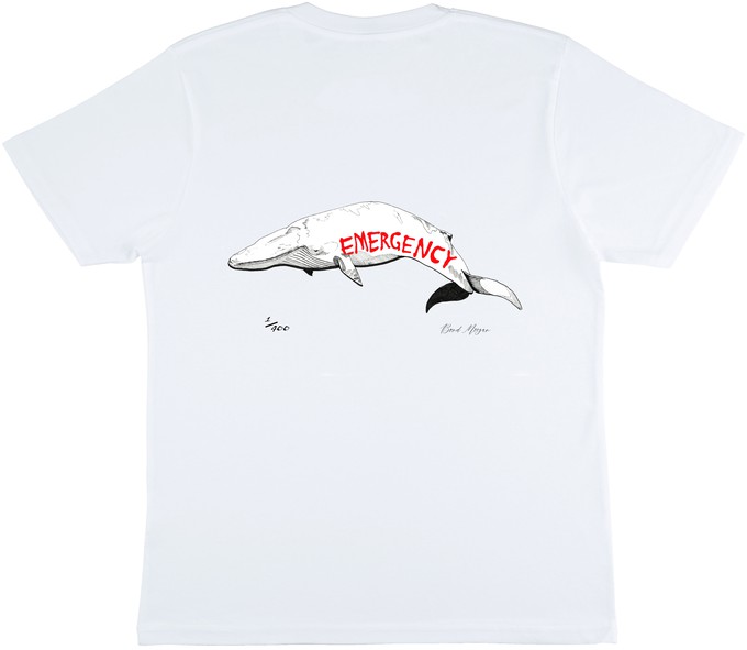 Whale Emergency T-Shirt from Bond Morgan