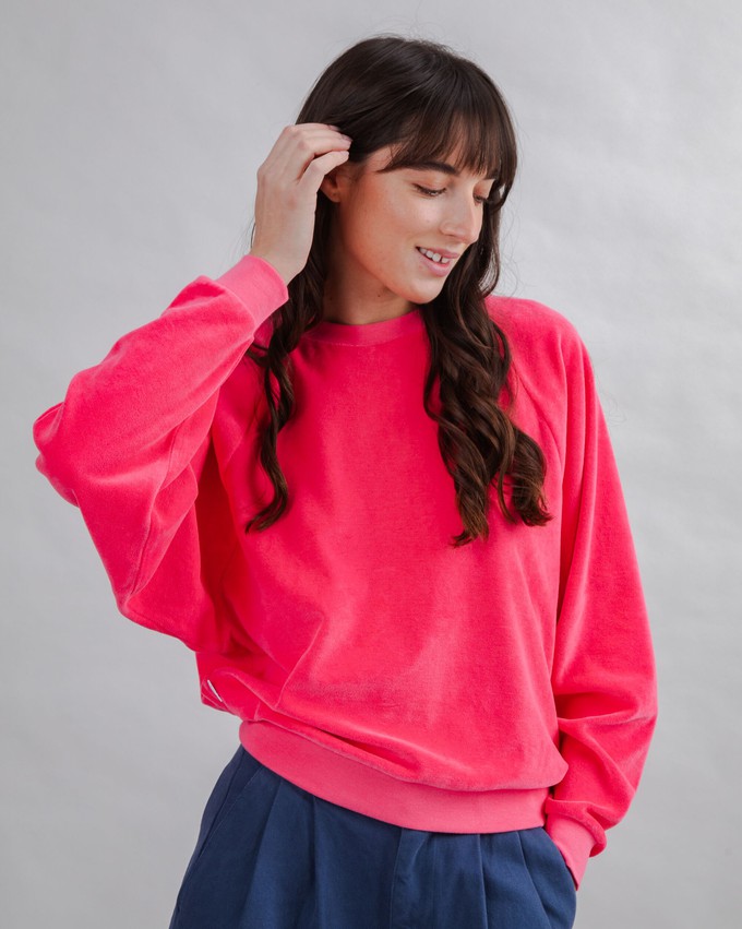 Velvet Raglan Sweatshirt Pink from Brava Fabrics