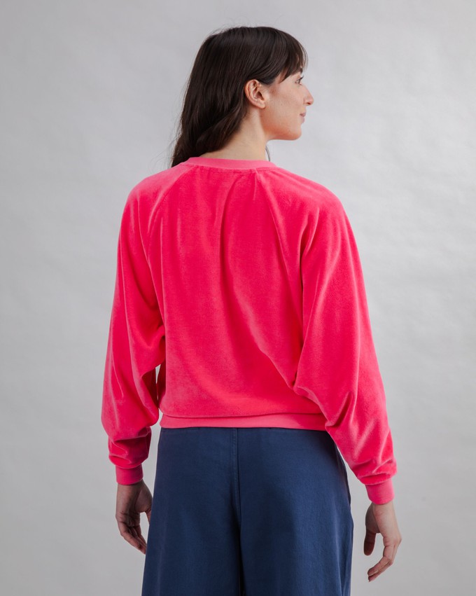Velvet Raglan Sweatshirt Pink from Brava Fabrics