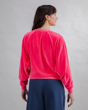Velvet Raglan Sweatshirt Pink from Brava Fabrics