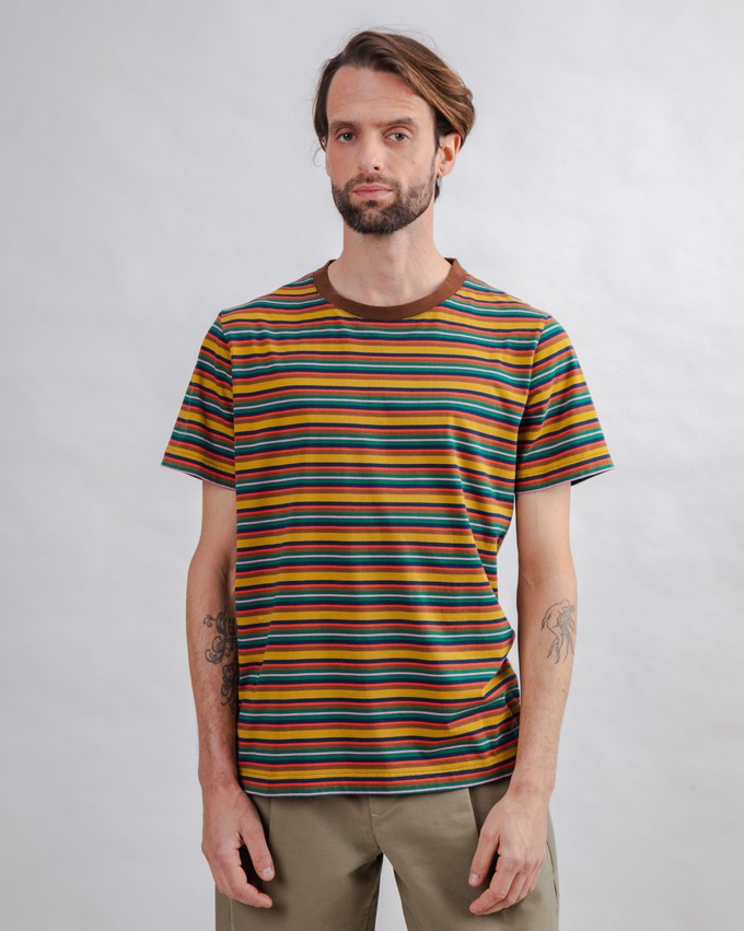 Stripes T-shirt Multicolor from Brava Fabrics