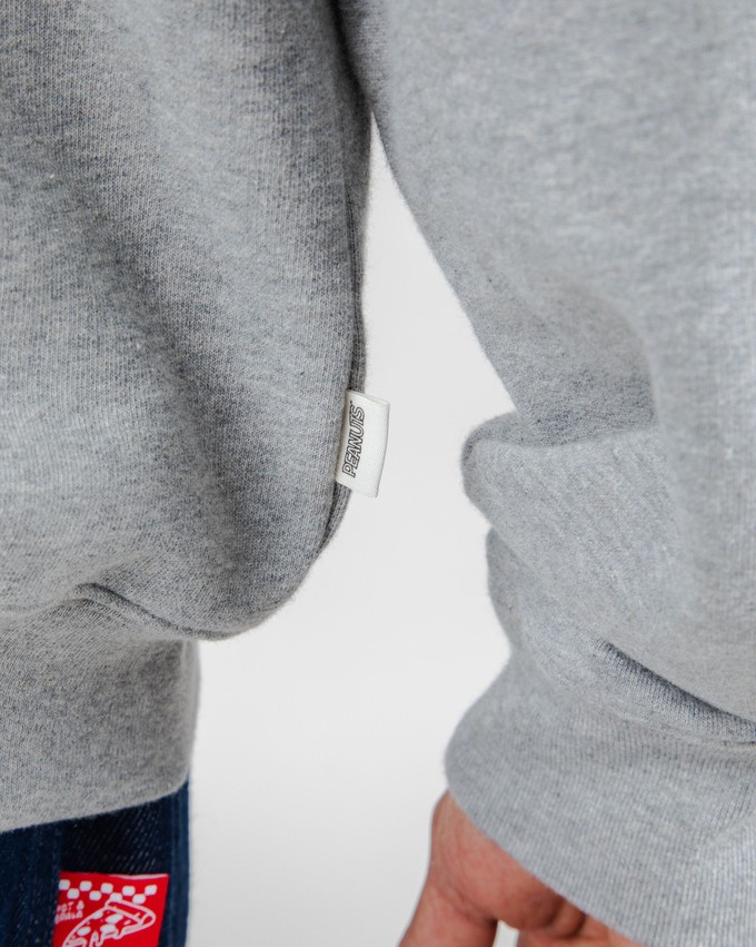 Peanuts Records Sweatshirt Grey from Brava Fabrics
