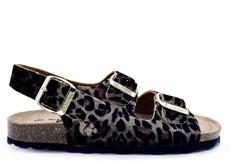 thies 1856 ® Rec Backstrap Leo Sandal beige leo via COILEX