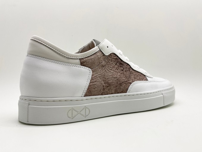 nat-2™ Preloved white plum from COILEX