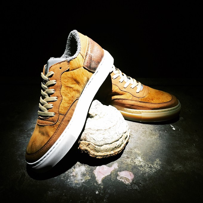 nat-2™ Fungi brown white from COILEX