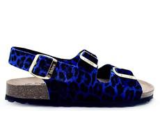 thies 1856 ® Rec Backstrap Leo Sandal blue leo via COILEX