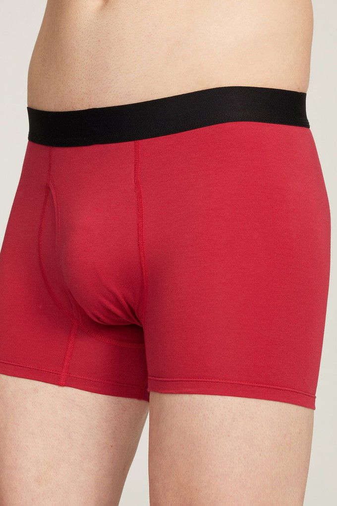 Organic Cotton Boxer Brief from Ecoer Fashion