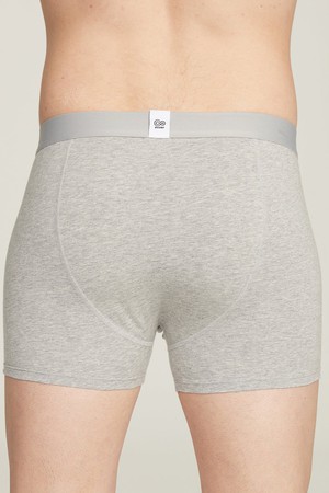 Organic Cotton Boxer Brief from Ecoer Fashion