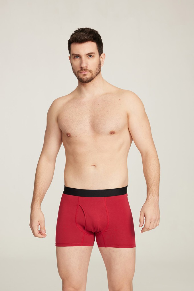 Organic Cotton Boxer Brief from Ecoer Fashion