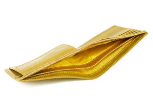 Billfold Wallet with Coin Pocket | Leather & Fire-hose from Elvis & Kresse