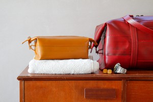 Medium Washbag | Fire-hose from Elvis & Kresse