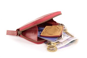 Pocket Coin Holder / Bag Organiser from Elvis & Kresse