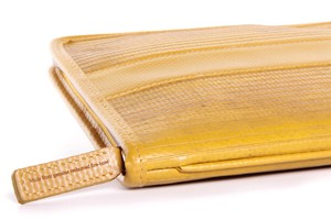 iPad Case | Fire-hose from Elvis & Kresse