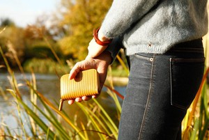 Pocket Coin Holder / Bag Organiser from Elvis & Kresse