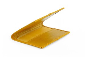 Passport Cover | Fire-hose from Elvis & Kresse