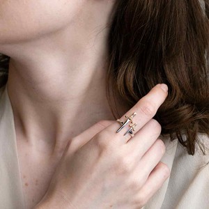 Zilveren ring zwaarden from Fairy Positron