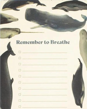 Takenlijst Walvissen - Remember To Breathe from Fairy Positron