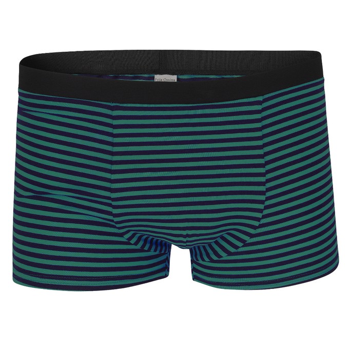 Bio Trunk Shorts teal / indico stripes from Frija Omina