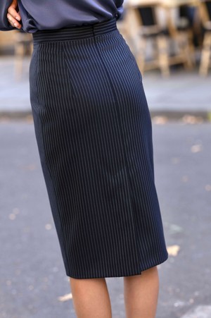 Skyler Fitted Skirt from GAÂLA
