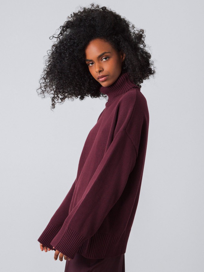 Chunky Turtleneck Women from Honest Basics