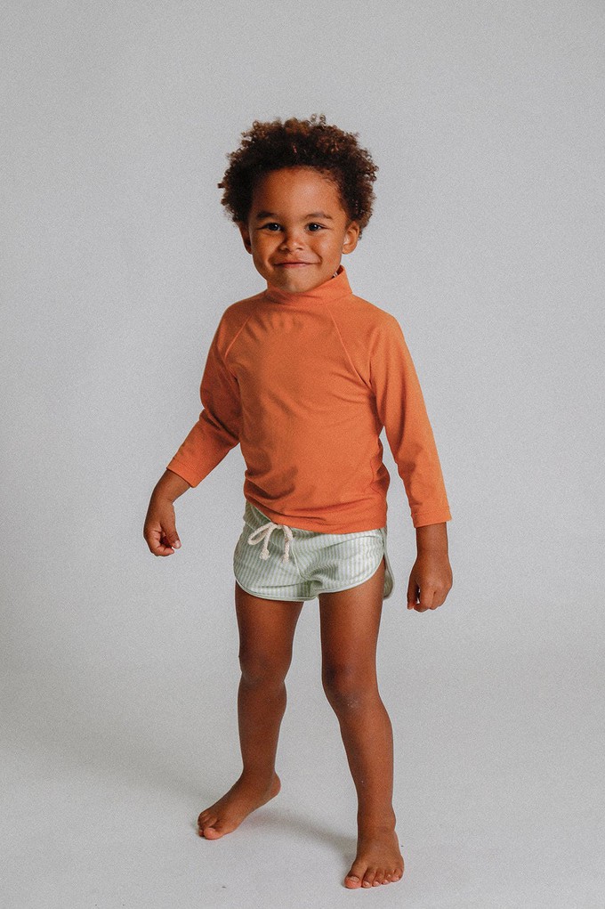 Mesa Trunks – Melon Stripe from Ina Swim
