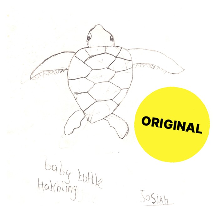 BABY-TURTLE Kids Shirt from Kipepeo-Clothing