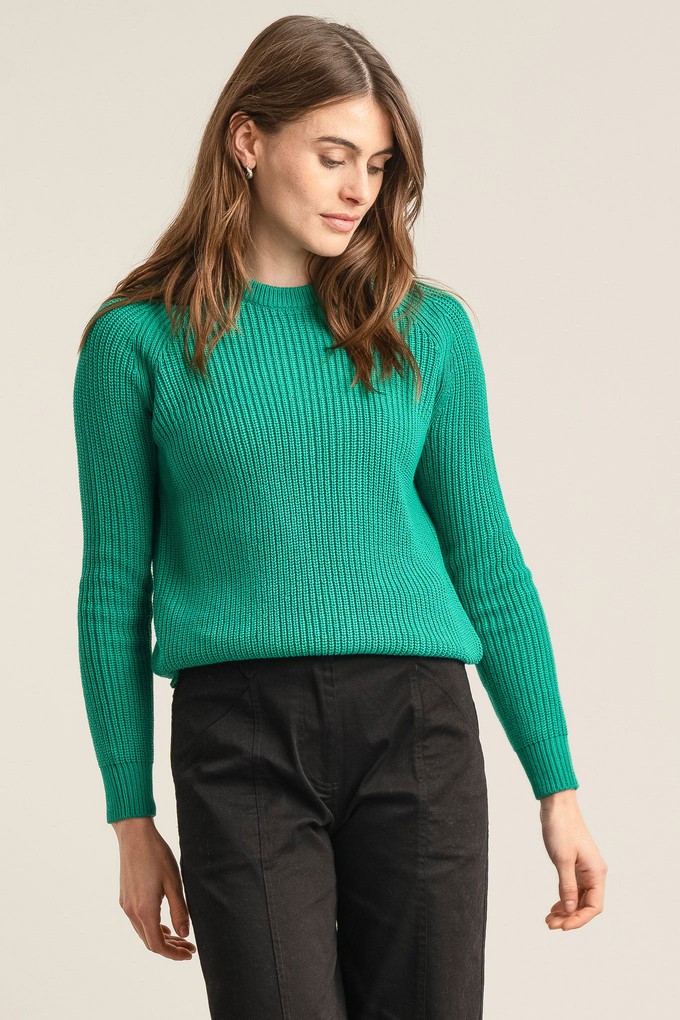 SERGIO - Womens Organic Cotton Jumper Green from KOMODO