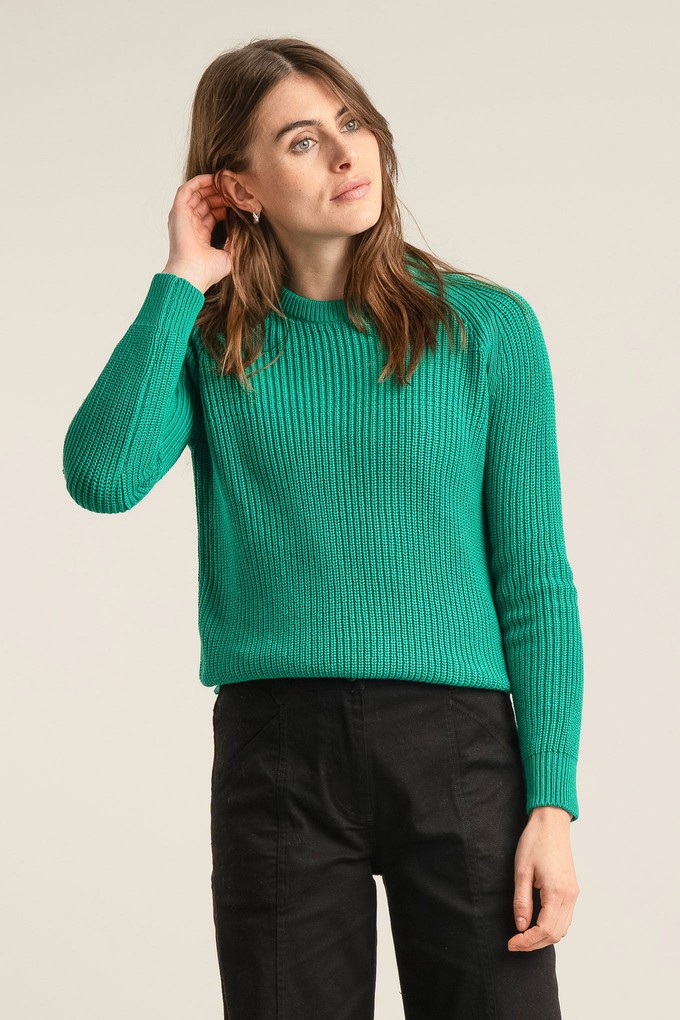 SERGIO - Womens Organic Cotton Jumper Green from KOMODO