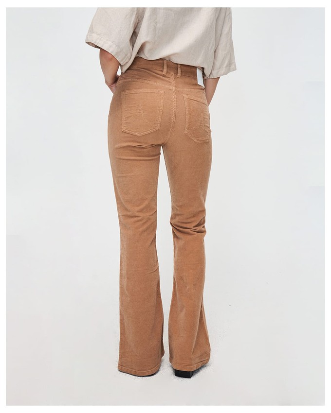 Lisette Flare Baby Cord from Kuyichi