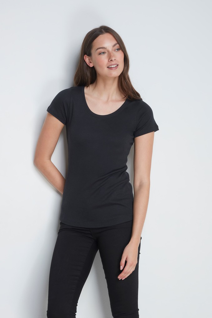 Scoop Neck Cotton Modal Blend T-shirt from Lavender Hill Clothing