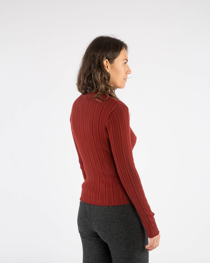 Ribbed Collared Longsleeve maroon from Matona