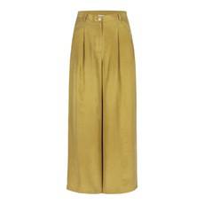Clio pants Gold via Mon Col Anvers