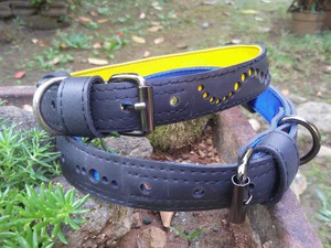 Eco Friendly Recycled Inner Tube Vegan Dog Collar from Paguro Upcycle