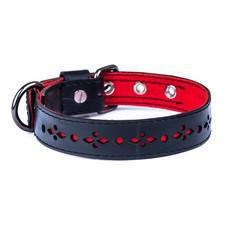 Eco Friendly Recycled Inner Tube Vegan Dog Collar via Paguro Upcycle