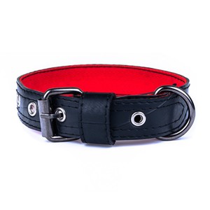 Eco Friendly Recycled Inner Tube Vegan Dog Collar from Paguro Upcycle