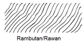 Rawan Recycled Wood Earrings from Paguro Upcycle