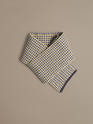 Small Check Scarf | Navy from ROVE