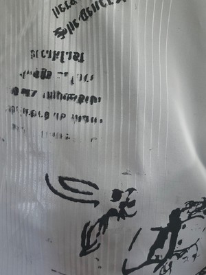 Illustrated Sheer Longsleeve Top from Stephastique