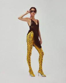 Roxana Tiger Tights via Swedish Stockings