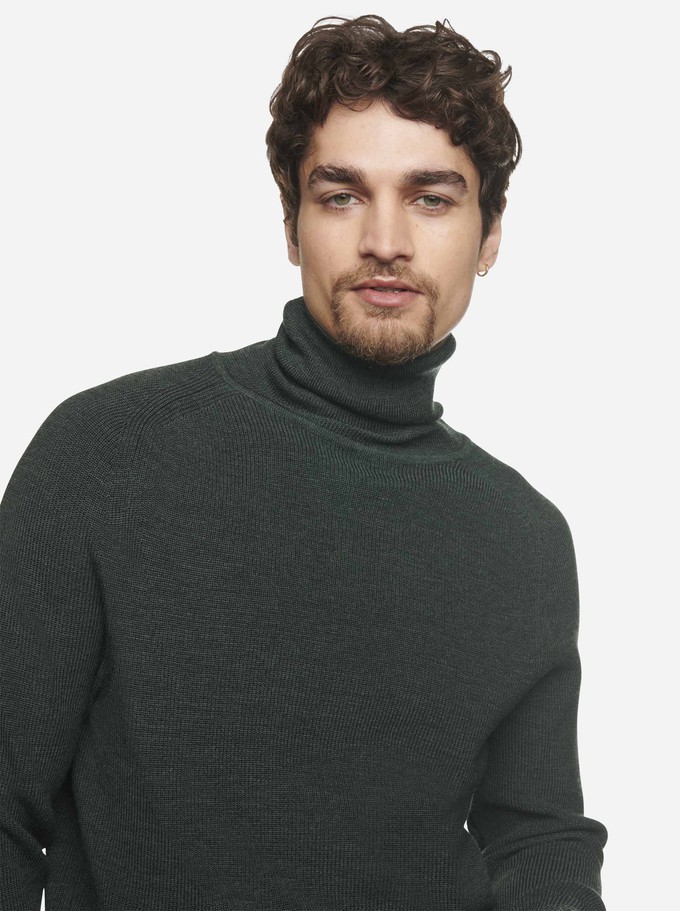 The Turtleneck Sweater from TEYM
