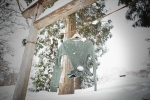 Sweatshirt - organic cotton - Japanese Driftwood - army green from The Driftwood Tales