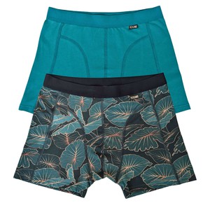 Tropic Two-Pack Boxer Briefs - Organic Cotton and Micromodal from TIZZ & TONIC